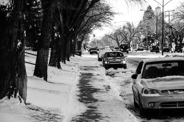 Residential Street View with Cars During Winter