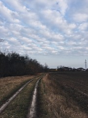 Blue sky with white clouds. Field