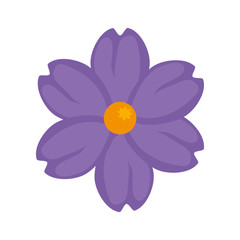 cute flower purple color isolated icon vector illustration design