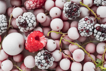 frozen berries on the white plate