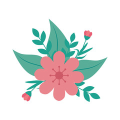 cute flower pink color with leafs vector illustration design