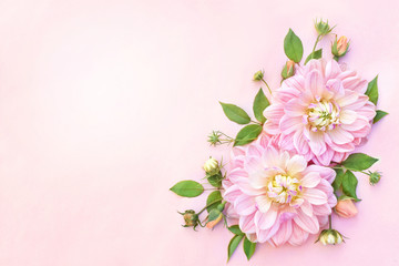 Soft pink delicate blossoming dahlias, summer blooming flowers festive background, pastel bouquet floral card, toned	
