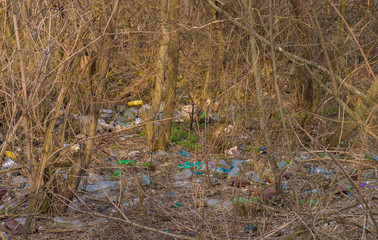 forest contaminated with plastic waste