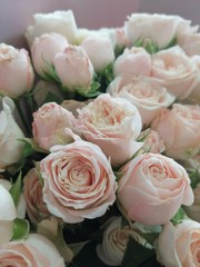 Large bouquet of medium-sized light pink roses. 