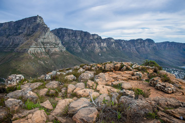 View from Lions Head, Cape Town, South Africa near Table Mountain