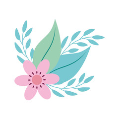cute flower pink with branches and leafs vector illustration design