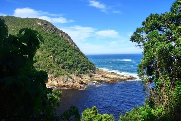 Fotobehang Palmboom Tsitsikamma Nationalpark - Nationalpark am Ende der Garden Route in Südafrika   © hajo100