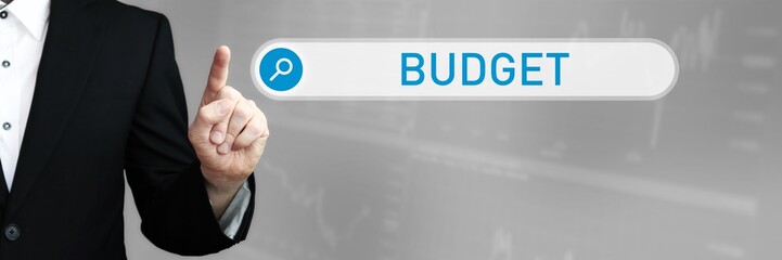 Budget. Mann im Anzug zeigt mit dem Finger auf ein Suchfeld. Das Wort Budget steht in der Suche....
