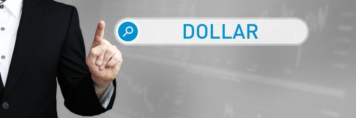 Dollar. Mann im Anzug zeigt mit dem Finger auf ein Suchfeld. Das Wort Dollar steht in der Suche....