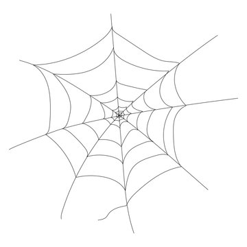 Spider web, Cobweb drawing. Hand drawn. Vector stock illustration isolated on white background for Halloween design. Spider web element,spooky, scary, horror halloween decor. Silhouette.