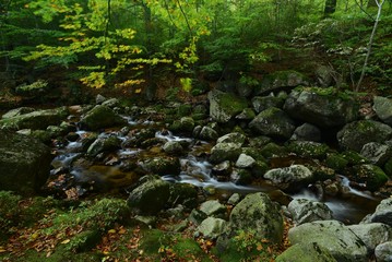 Naklejka na ściany i meble stream in forest