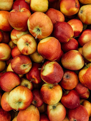 lots of ripe delicious sweet apples to eat like a background