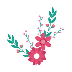 cute flowers pink with branches and leafs vector illustration design