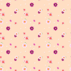 the pattern of cosmos flowers on a gentle background