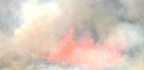 Smoke from the fire. White could from the fire. Photo with smoke on the headband. Natural fire in nature.
