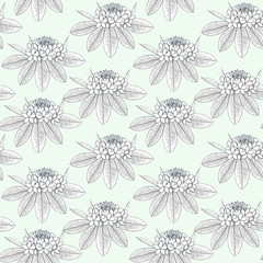 Plumeria seamless pattern. White thin black line sketch flowers on light blue stock vector illustration for web, for print, for cover, for wallpaper