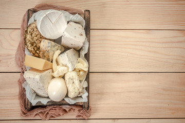 Various types of cheese. eco products. place under the text