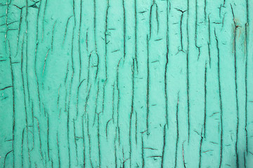 Cracked paint on wooden doors, green background. Aged concept. Mint rough texture
