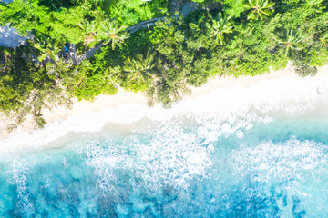 Seychelles beach Mahé Mahe island nature vacation paradise drone view aerial photo