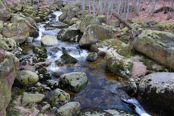 North Bohemia forest Landscape with its Boulders and Trees, Jizera Mountains, Czech Republic