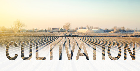 Word cultivation on background of winter farm field. Surface tillage, loosening soil, removing...