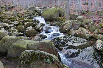 North Bohemia forest Landscape with its Boulders and Trees, Jizera Mountains, Czech Republic