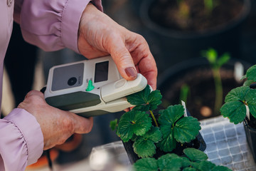 Modern portable device for measuring the chlorophyll and nitrogen content in plant leaves