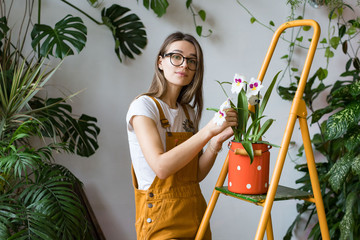 Young woman gardener in glasses wearing overalls, taking care for orchid in old red milk can standing on orange vintage ladder, looking at camera. Home gardening, love of houseplants, freelance. 