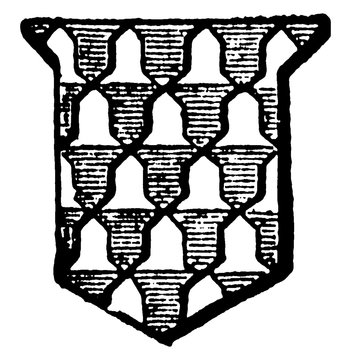 Vair is one of the furs in heraldry, vintage engraving.