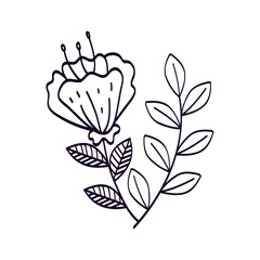 cute flower with branches and leafs line style icon vector illustration design