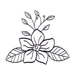 cute flower with branch and leafs line style icon vector illustration design