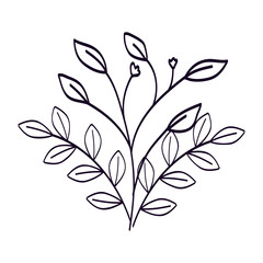 branches with leafs natural line style vector illustration design