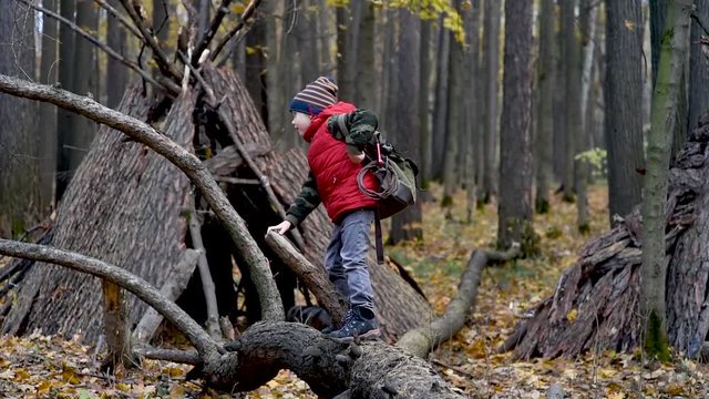Little boy scout with backpack and rope during hiking in autumn forest. Child looking at a teepee in the forest. Concepts of adventure, scouting and hiking tourism for kids.