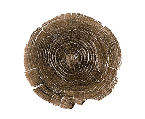 Black and white stamp of wood texture of tree rings from a slice of log. Contrast negative monotone...