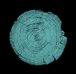 Blue green stamp of wood texture of tree rings from a slice of log. Contrast negative monotone image of cut tree.