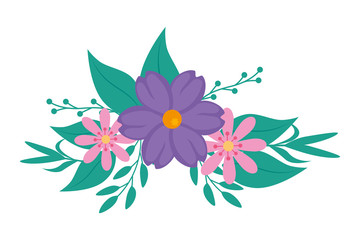 cute flower purple and pink color with branches and leafs vector illustration design