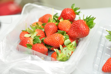freash strawberry in packed
