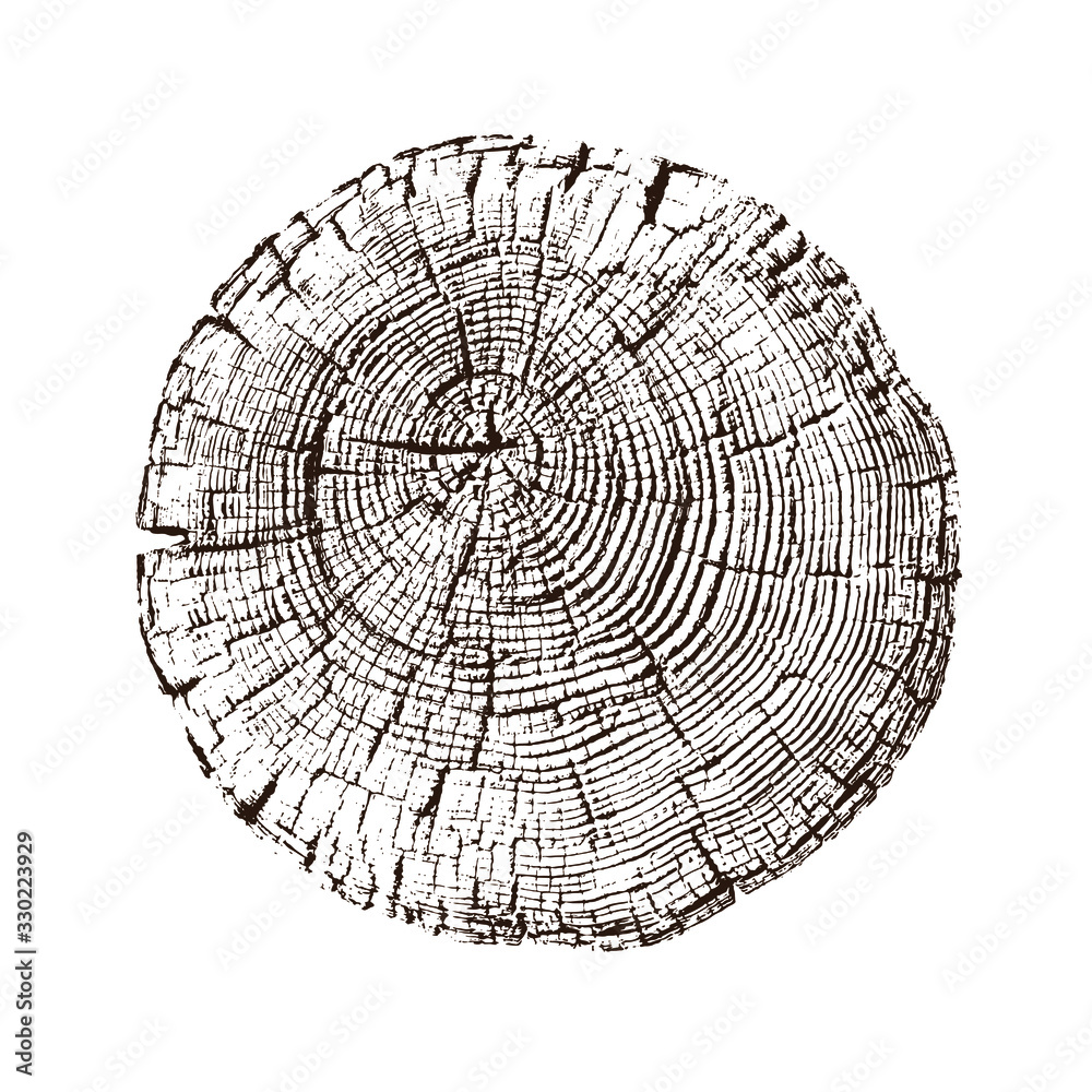 Canvas Prints black and white stamp of wood texture of tree rings from a slice of log. contrast negative monotone 