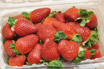 freash strawberry in packed