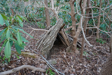 Primitive Bushcraft survival debris hut with campfire ring outside. Blanket, shelter, fire in the forest. Social distancing, CoronaVirus Pandemic disease Prepping, prepper