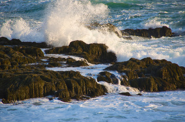 Waves crashing on rocky coastline