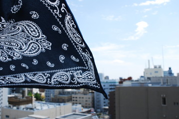 スカーフ
