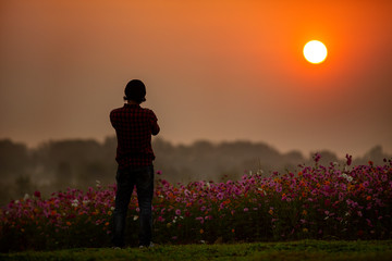 The photographer is photographing flowers with morning light.