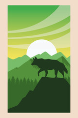 beautiful landscape with wolf scene
