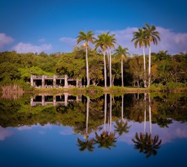 palm tree landscape field river reflection water lake tropical beach sky nature island blue green vacation sunset florida miami