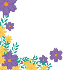 frame of flowers yellow and purple with leafs vector illustration design