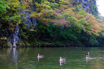 Geibikei Gorge, Iwate Prefecture Japan
