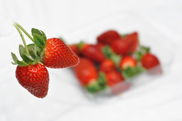 freash strawberry in packed