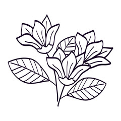 cute flowers with branches and leafs line style icon vector illustration design