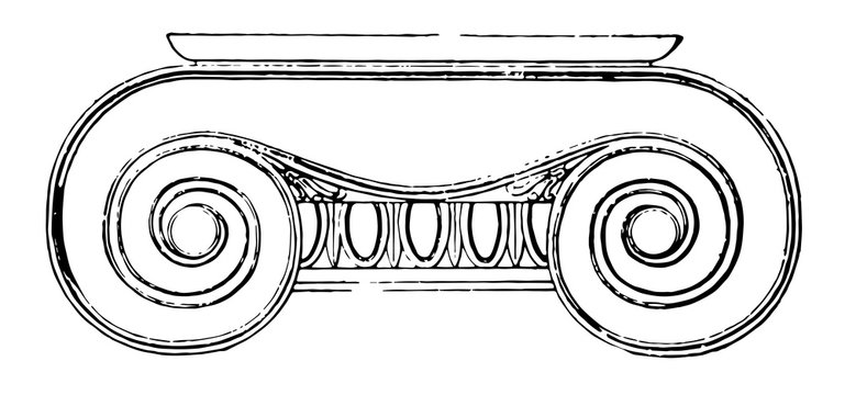 Ionic Capital,  the volutes of its capital, vintage engraving.